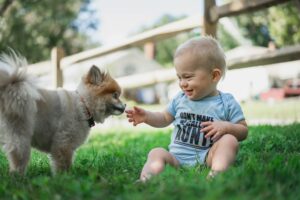 13 Things Paediatric Nurses See Every Summer Involving Family Dogs