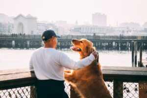 13 Rules Grandparents Break With the Family Dog Without Realising