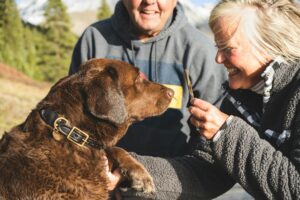 12 Things Grandparents Let the Dog Do That Parents Quietly Undo