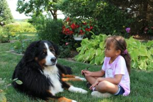 13 Ways Dogs Quietly Help Raise the Children They Grow Up With