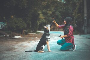 Why Earth Signs Bond Easily With Dogs and Cats