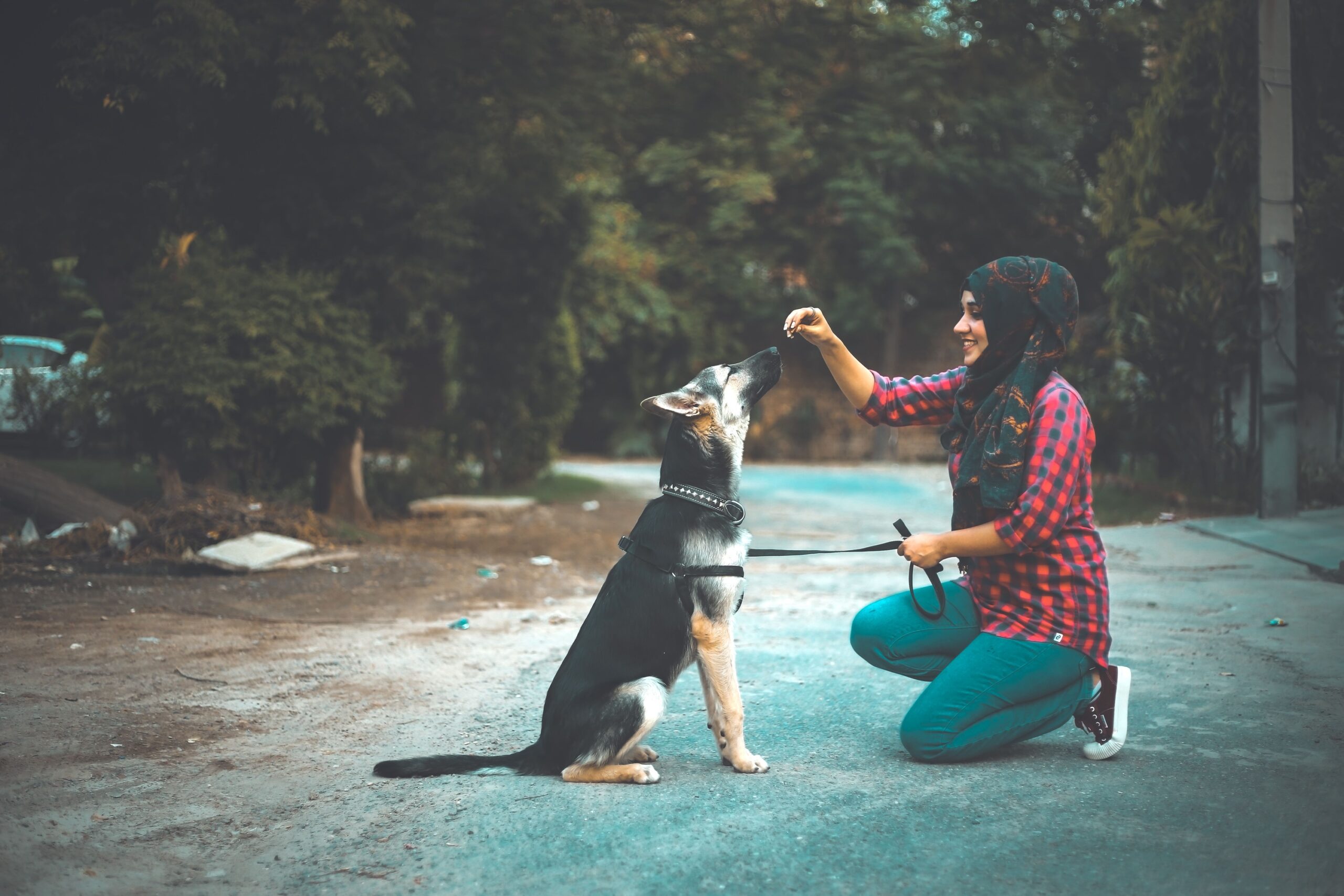 Why Earth Signs Bond Easily With Dogs and Cats
