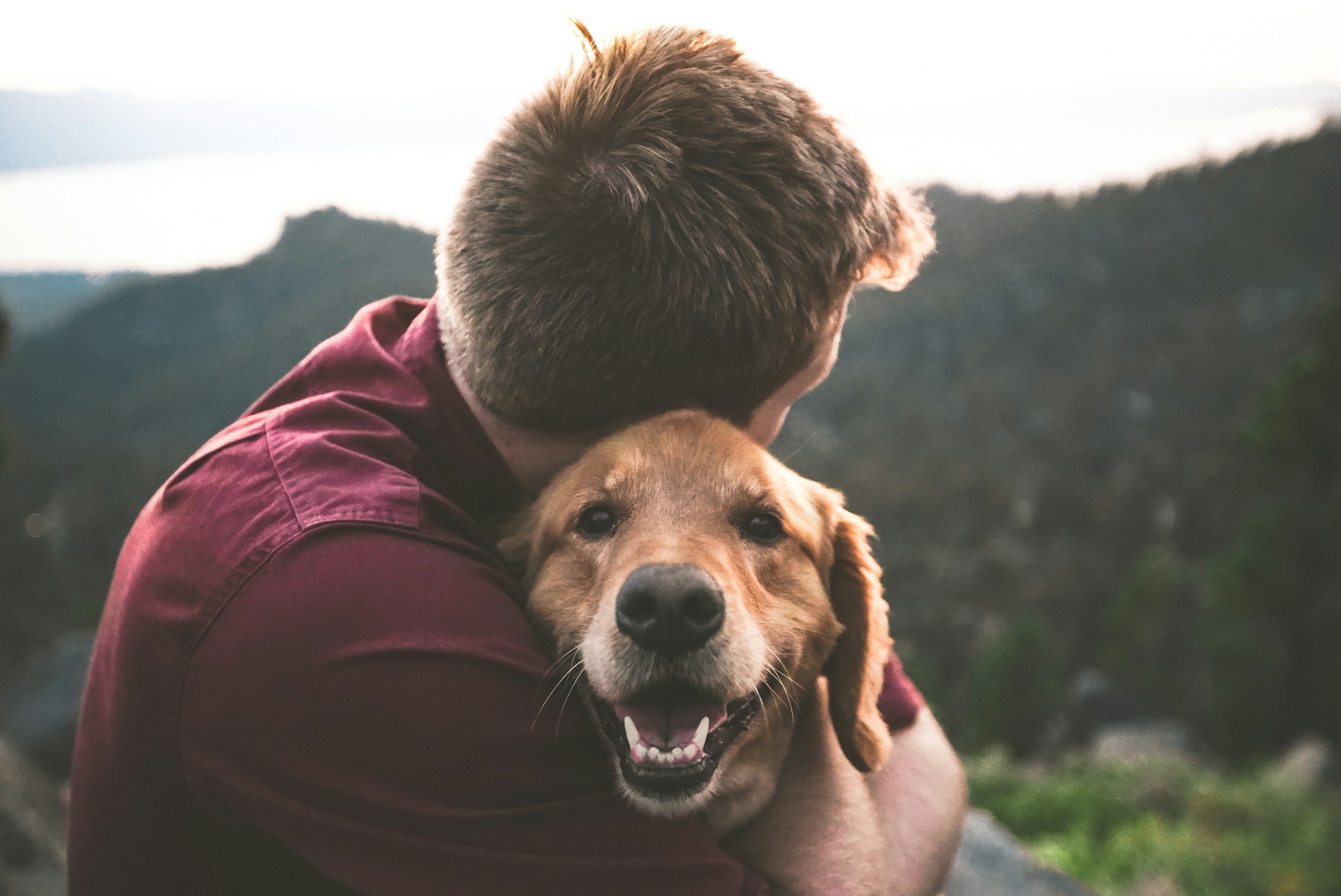 Animal Psychology Says Dogs Are More Likely to Approach a Crying Stranger Than a Humming One - What That Really Says About Them