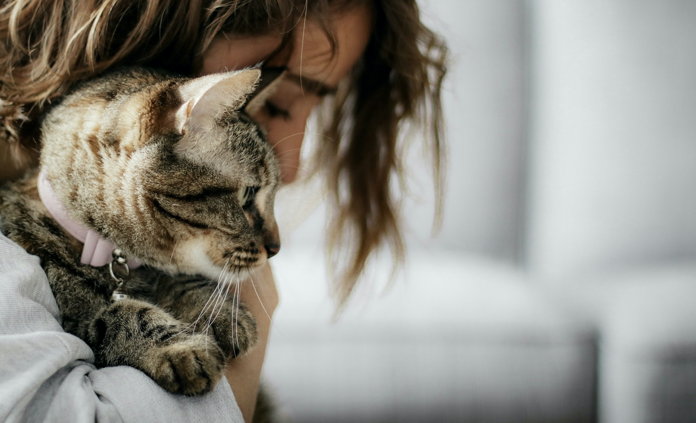 9 Things Cats Notice About You Every Day