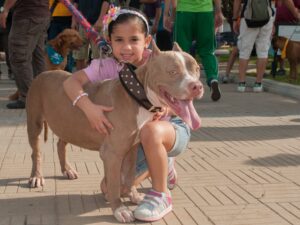 Which Zodiac Signs Form the Strongest Emotional Attachments to Their Dogs?