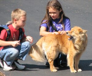 Animal Behaviorists Say a Dog Turning Their Head Away Can Be Communication - Not Stubbornness