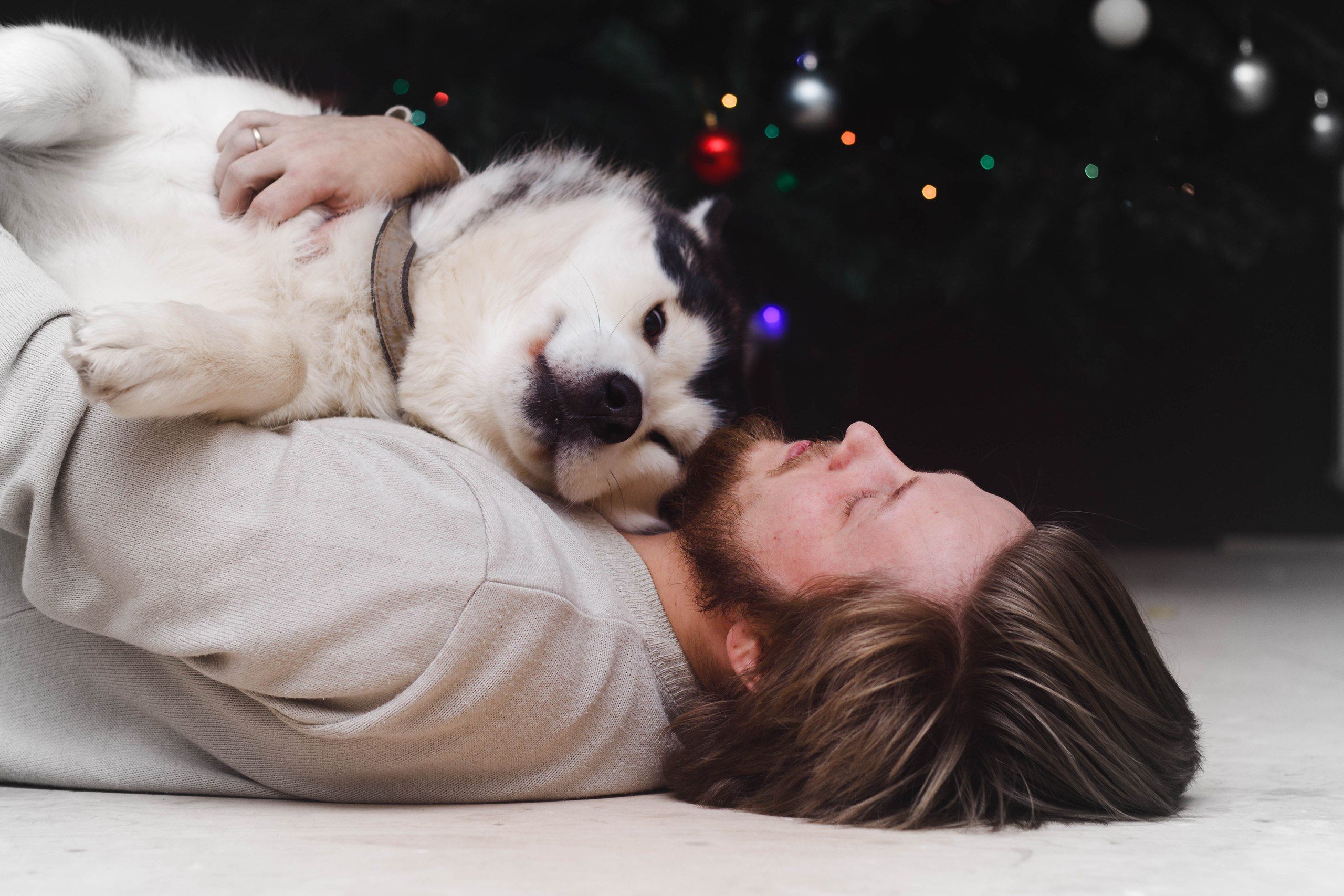 12 Moments Dogs Become Emotional Mirrors for Their Humans