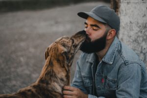 Research Shows Dogs Can Tell When Human Emotions Change Through Scent Alone - Even When Our Behavior Stays the Same
