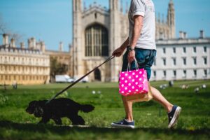 15 Times Your Dog Helped You Through a Life Transition