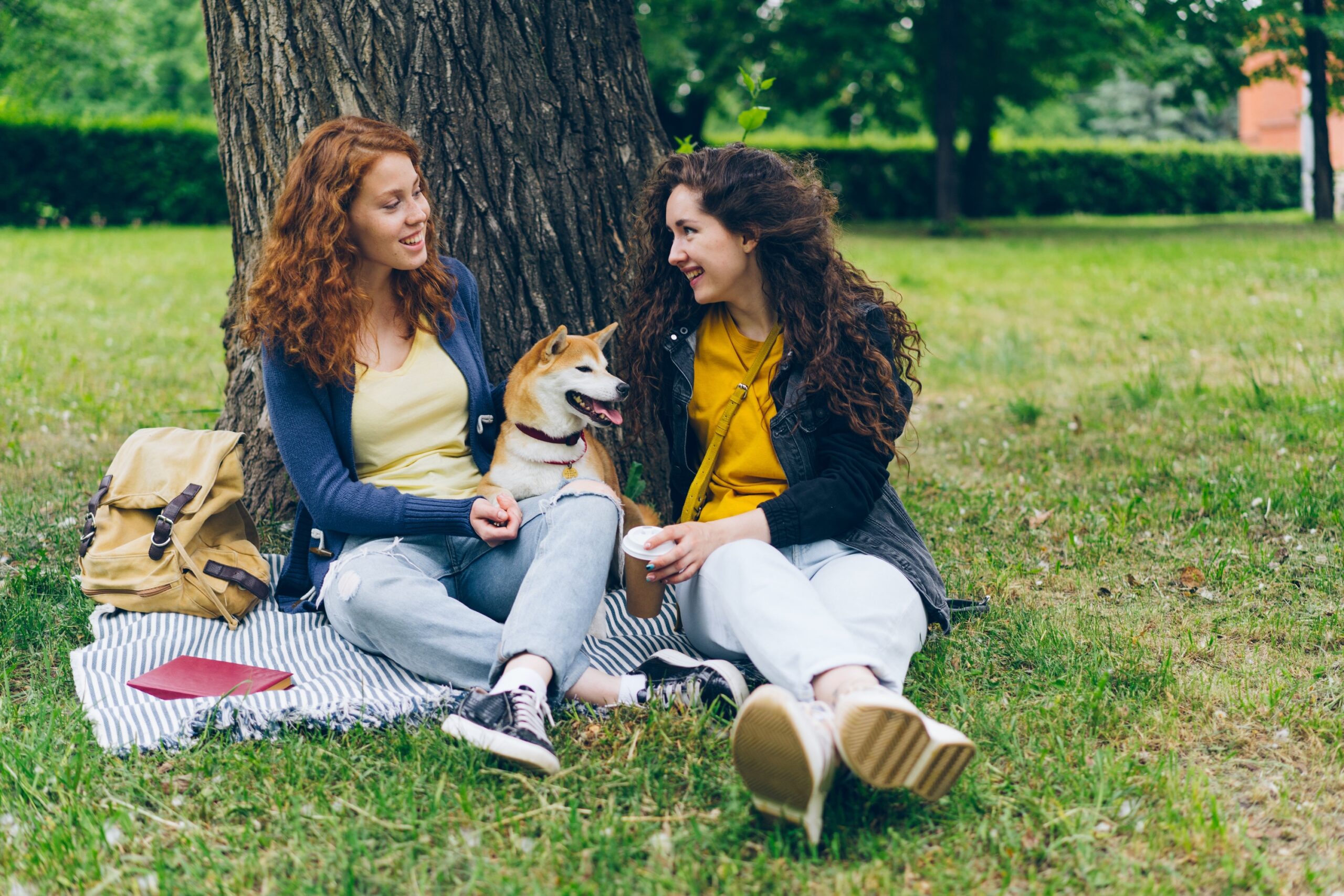 12 Emotional Needs Dogs Fill When You’re Living Alone
