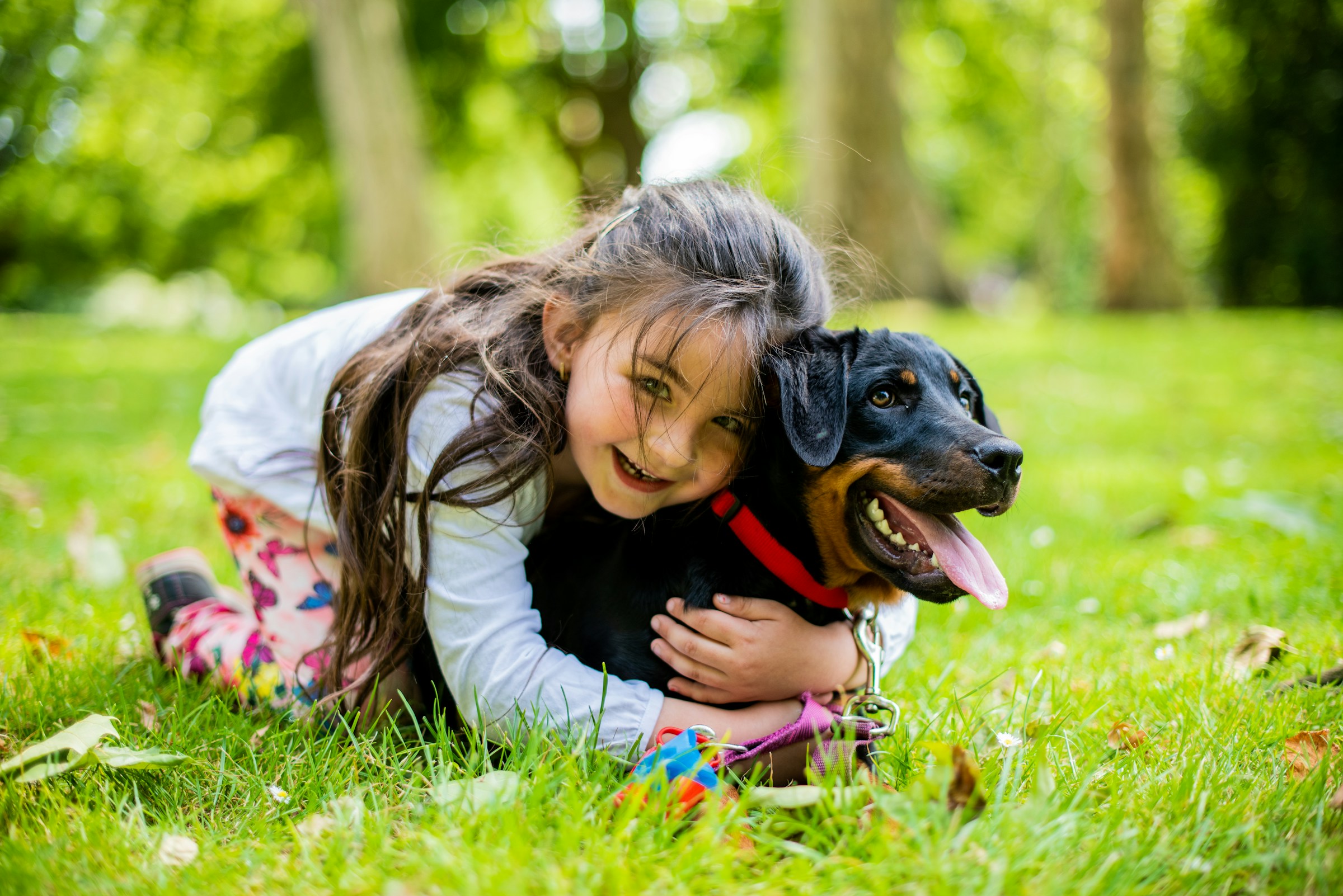 13 Ways Living With a Dog Changes Your Own Health According to Doctors