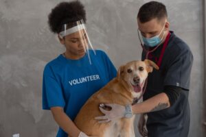 15 Things Pet Insurers Quietly Refuse to Cover That Owners Assume Are Included