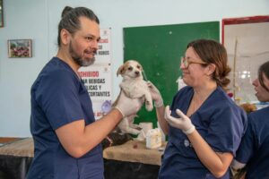 14 Questions Vets Wish Owners Asked Before Agreeing to Any Procedure