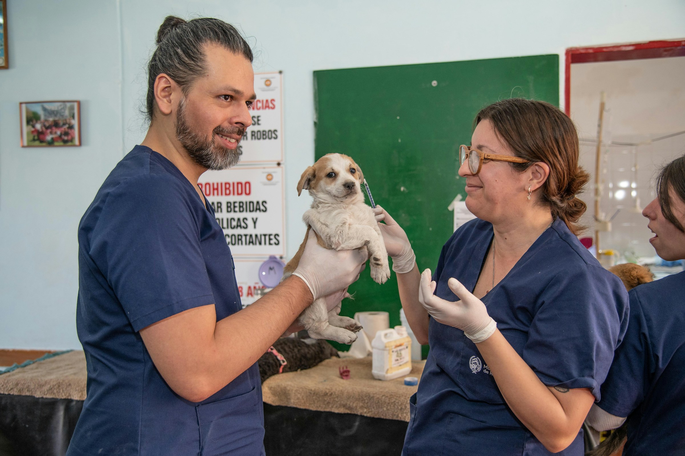 14 Questions Vets Wish Owners Asked Before Agreeing to Any Procedure