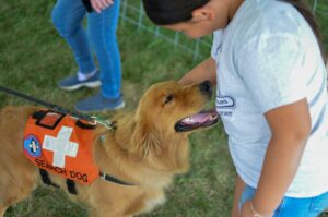 15 Things a Dog Does for Your Health That Doctors Have Started Taking Seriously