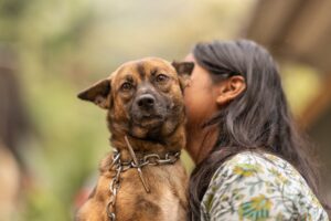 9 Things Dogs Notice About the Person Who Cares for Them Every Single Day