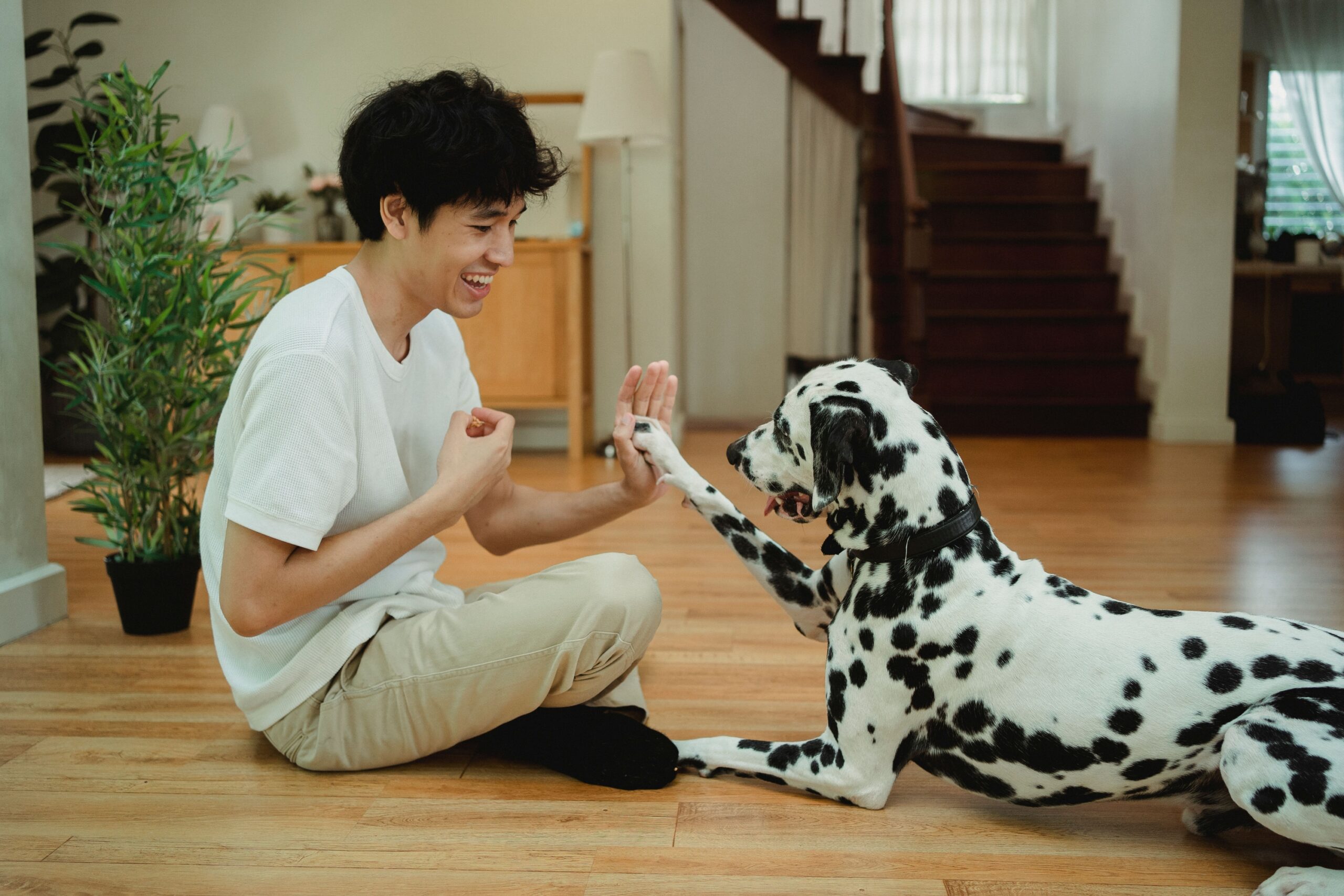 Canine Psychology Says When Your Dog Freezes During a Greeting, Giving Them Space May Matter More Than Encouragement