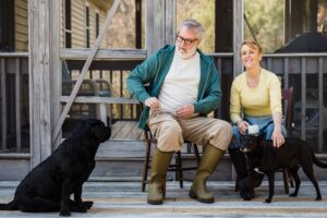 7 Things an Aging Dog Still Wants From You Even When Walks and Play Become Harder