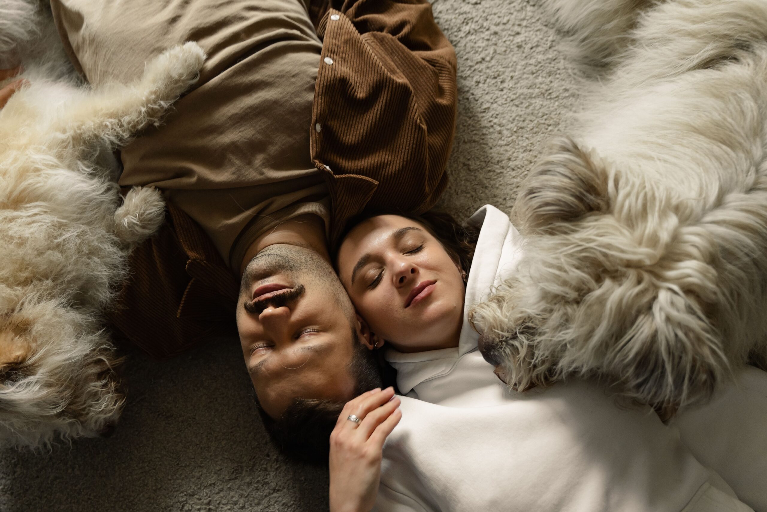 12 Things Only Senior Dog Owners Understand