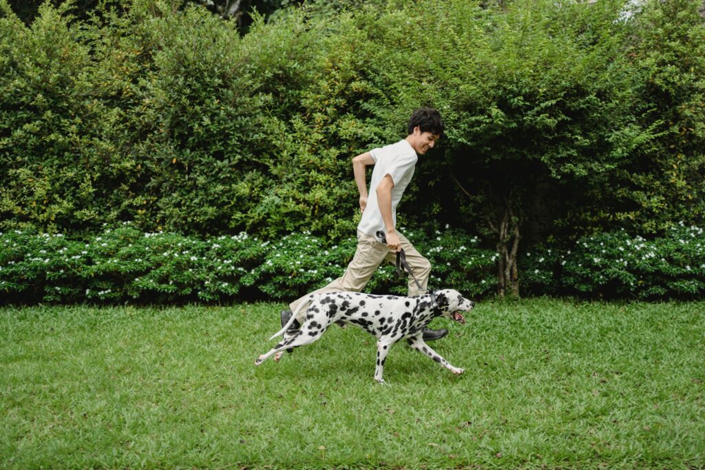 10 So-Called Difficult Dog Breeds That Have Been Unfairly Judged for Their Reputation
