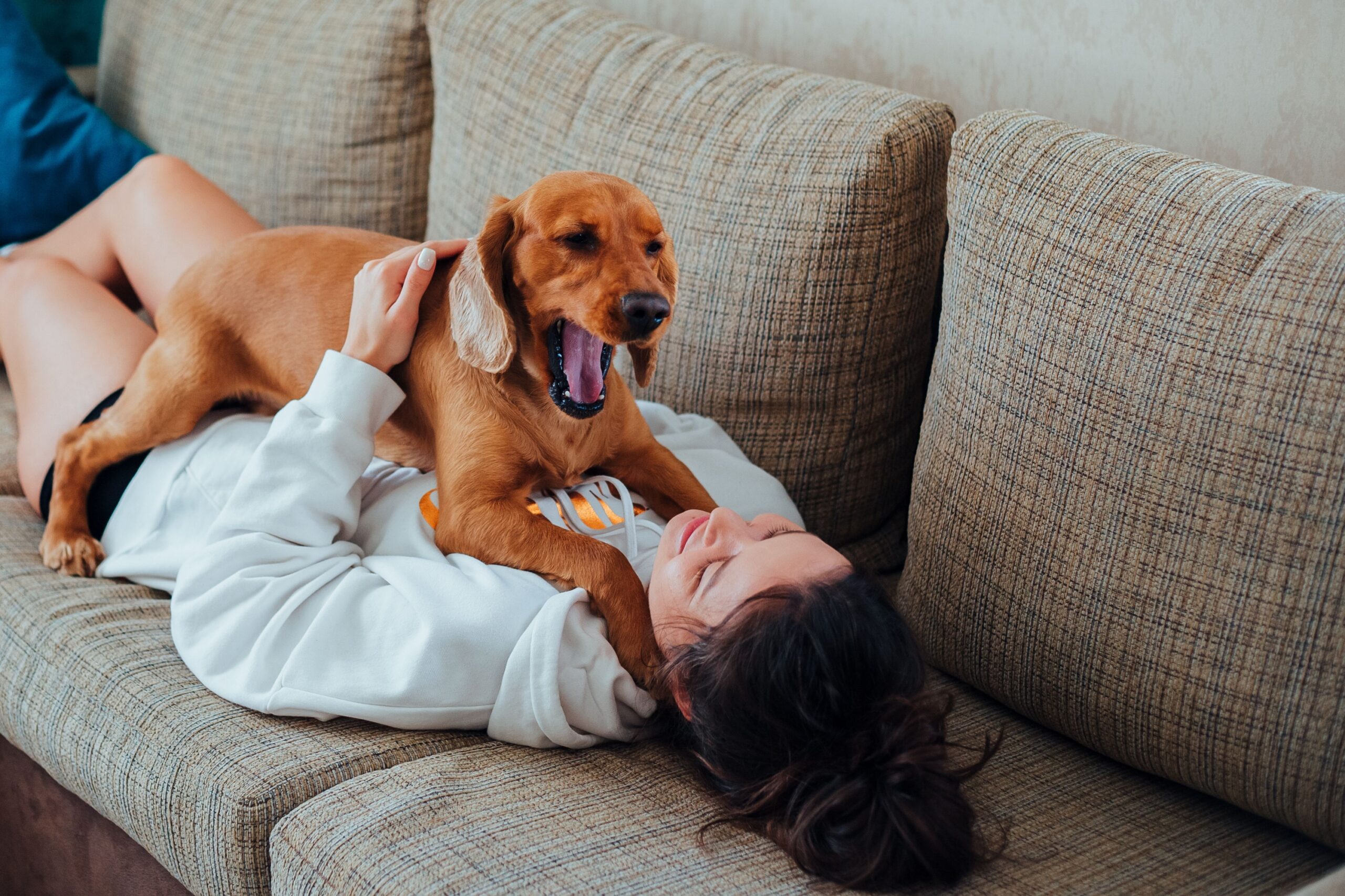 Dogs Who Press Their Body Against You Aren’t Always Asking for Affection – What the Behavior Can Really Mean