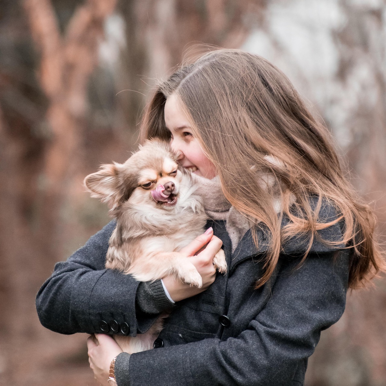 12 Ways Dogs Show They Feel Safe Enough to Completely Let Their Guard Down Around You
