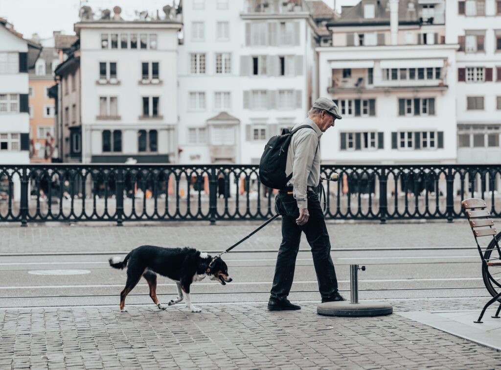 7 Things Older Dogs Need From Their Humans That Puppies Rarely Do