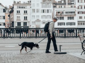 7 Things Older Dogs Need From Their Humans That Puppies Rarely Do