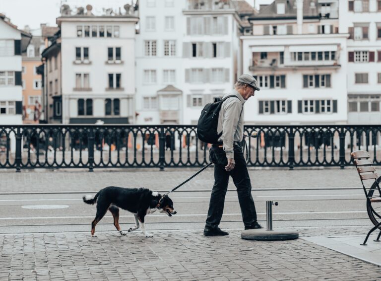 7 Things Older Dogs Need From Their Humans That Puppies Rarely Do