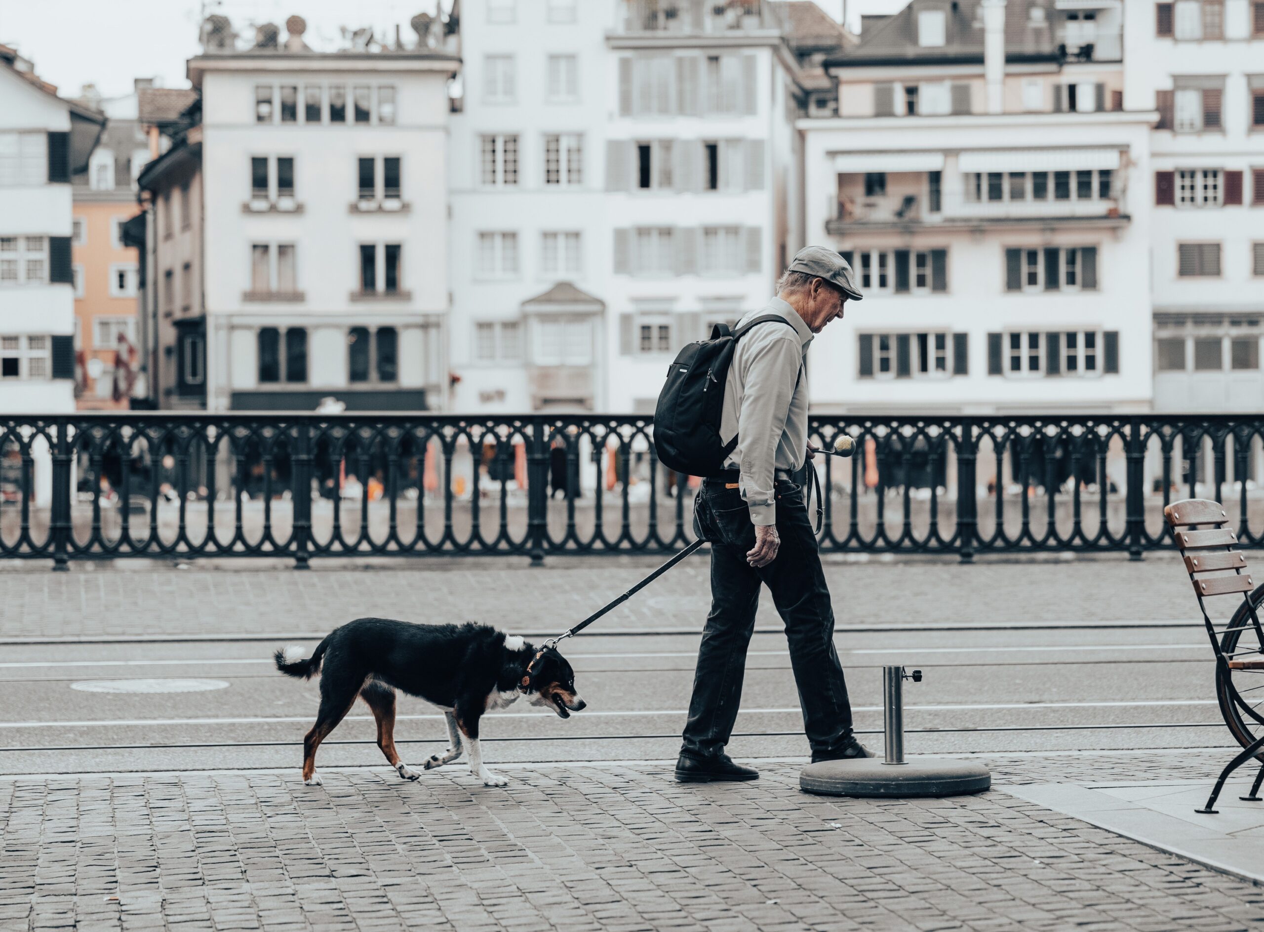 7 Things Older Dogs Need From Their Humans That Puppies Rarely Do