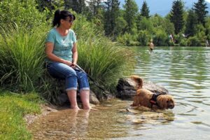 Canine Psychology Says Dogs Who Choose to Lie Near You Without Touching May Still Be Showing Strong Social Attachment