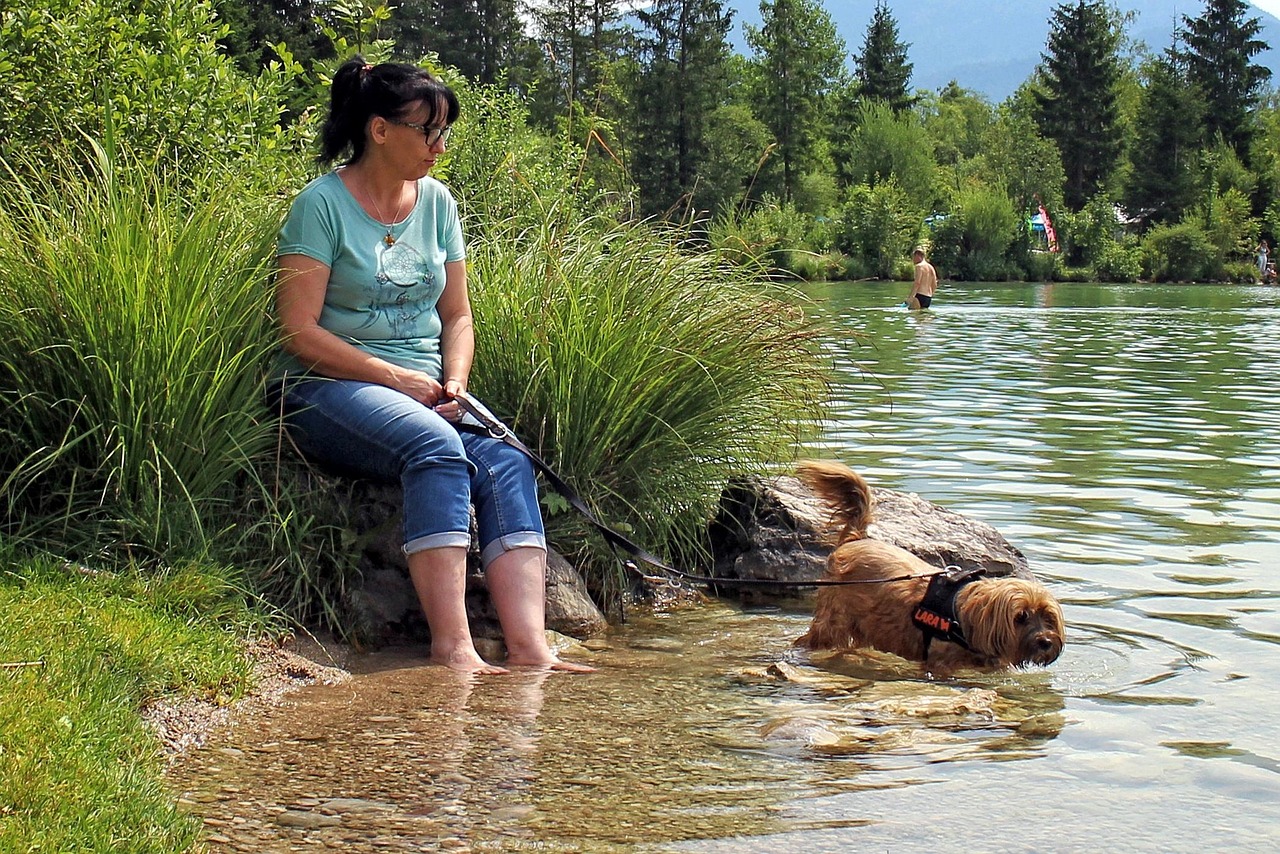 Canine Psychology Says Dogs Who Choose to Lie Near You Without Touching May Still Be Showing Strong Social Attachment