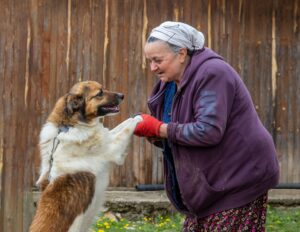 8 Ways Your Dog's Relationship With You Changes as the Two of You Grow Older Together