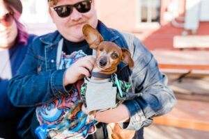 If Your Older Dog Suddenly Wants to Stay Closer to Home, These 7 Possible Reasons Are Worth Knowing