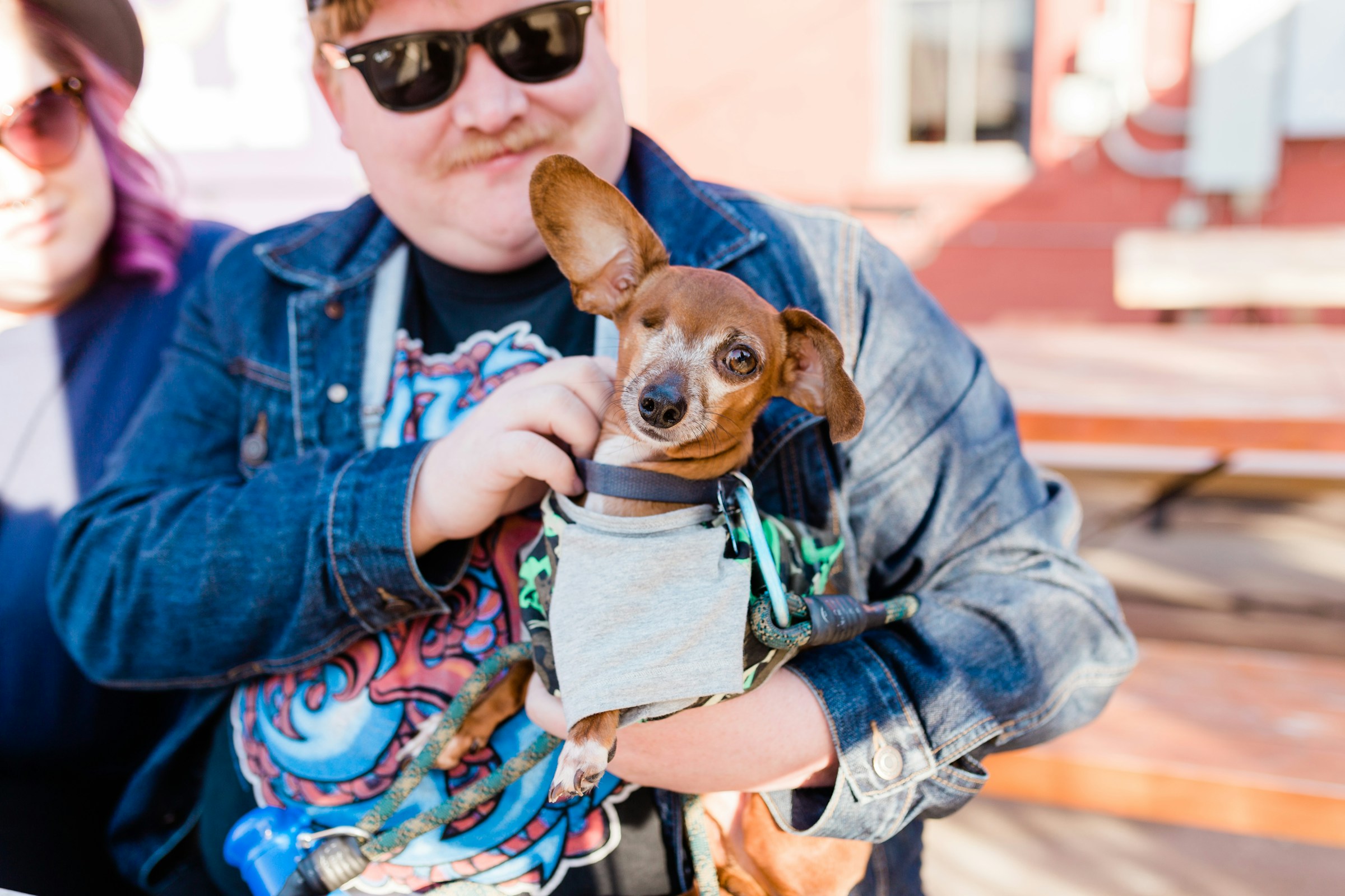 If Your Older Dog Suddenly Wants to Stay Closer to Home, These 7 Possible Reasons Are Worth Knowing