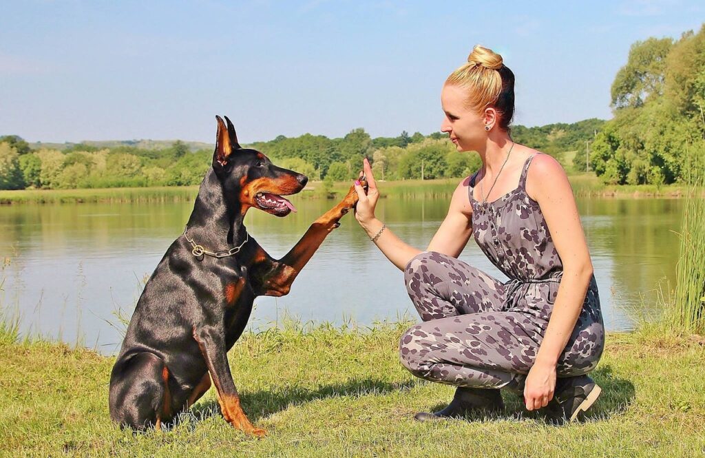 12 Dog Breeds That Take Protecting Their Favorite Person Surprisingly Seriously