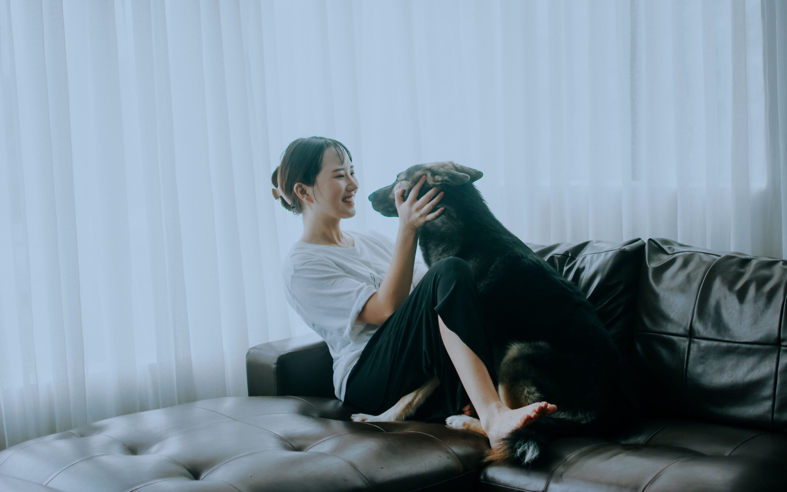 Which Zodiac Signs Are Most Likely to Plan Their Entire Day Around Their Dog
