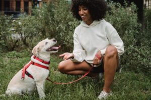 The Real Reason Some Dogs Are Calmer When Owners Are Calm Is Not Simply Mood-Matching — Studies Have Measured That Owner Cortisol and Dog Cortisol Are Statistically Correlated Over Long-Term Cohabitation