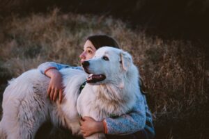 10 Dog Breeds That Become Fiercely Devoted Once They Decide You’re Their Person