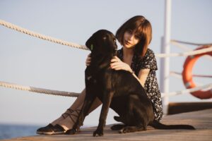 The Real Reason Your Dog Leans Against Your Legs Is Consistent With Physical Contact-Seeking Behavior in Attachment Science - Dogs in Secure Attachments Use Touch to Regulate Feelings of Safety and Proximity