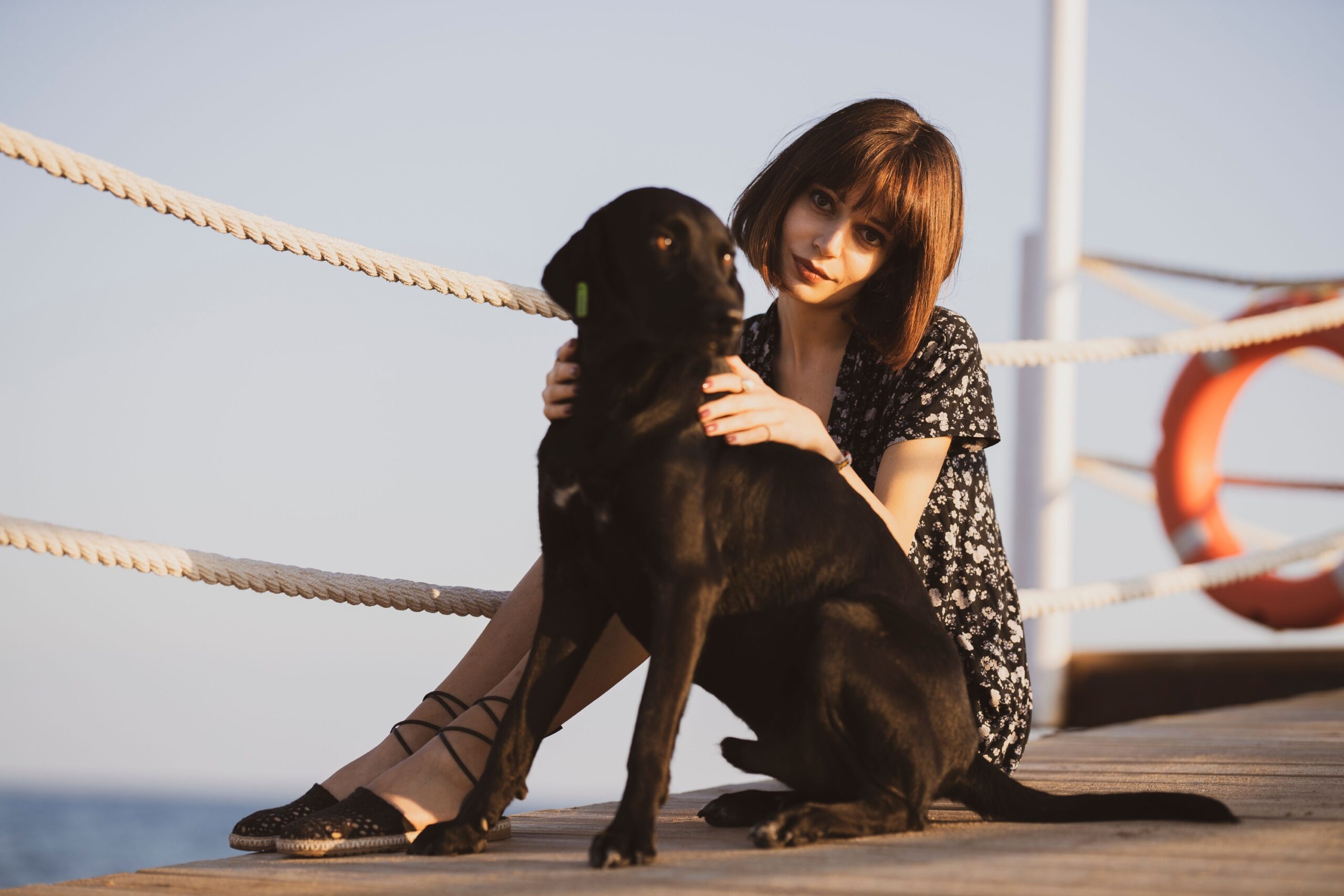 The Real Reason Your Dog Leans Against Your Legs Is Consistent With Physical Contact-Seeking Behavior in Attachment Science - Dogs in Secure Attachments Use Touch to Regulate Feelings of Safety and Proximity