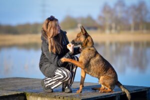 9 Things Your Dog Is Asking For When They Put Their Paw on Your Hand