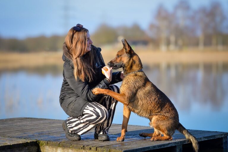 9 Things Your Dog Is Asking For When They Put Their Paw on Your Hand