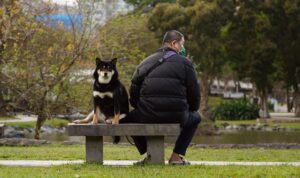 8 Things You Do Without Thinking That Make Your Dog Feel Completely Abandoned