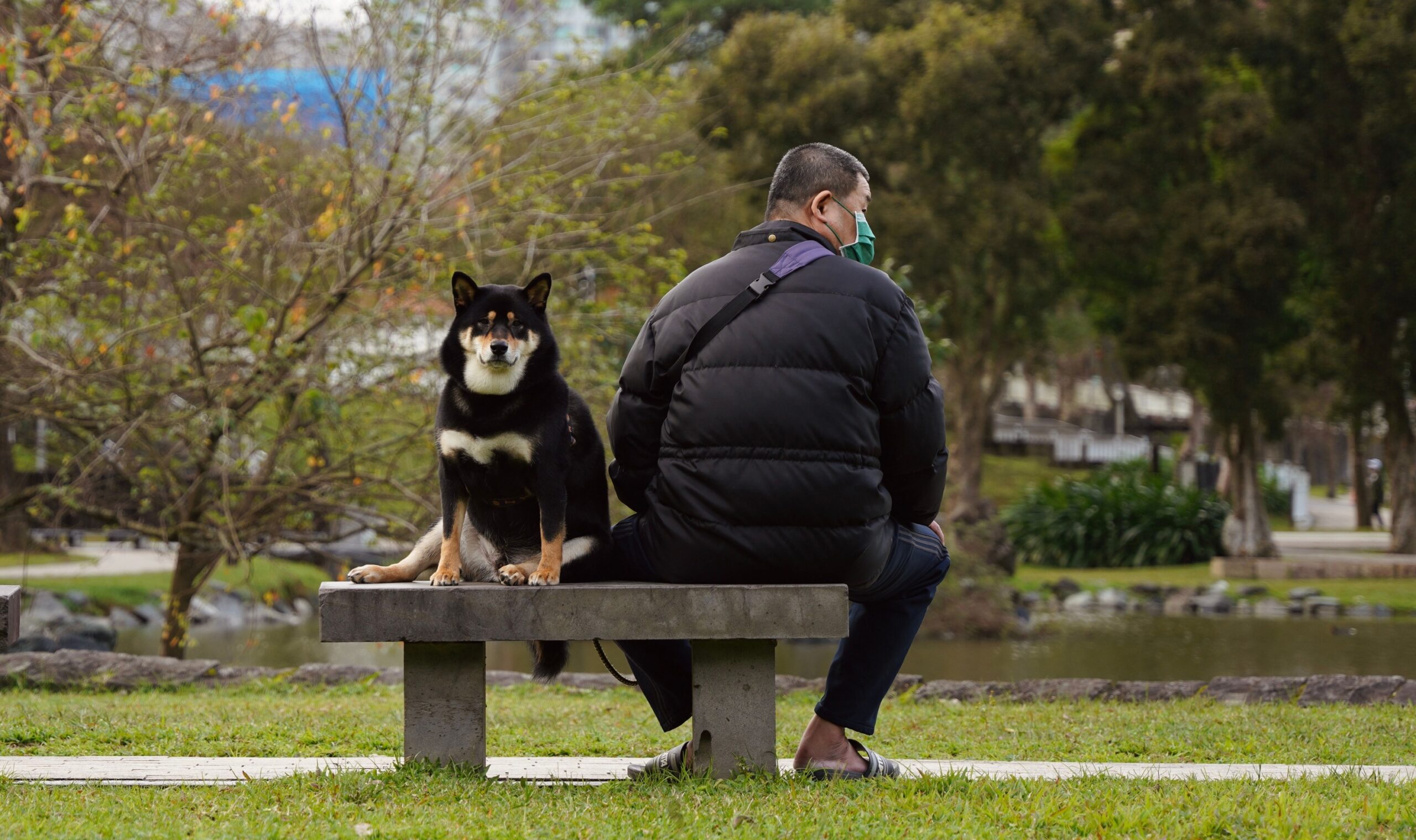 8 Things You Do Without Thinking That Make Your Dog Feel Completely Abandoned