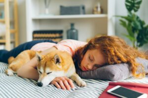 11 Things a Dog Does When They Have Fully Accepted You as Their Safe Person