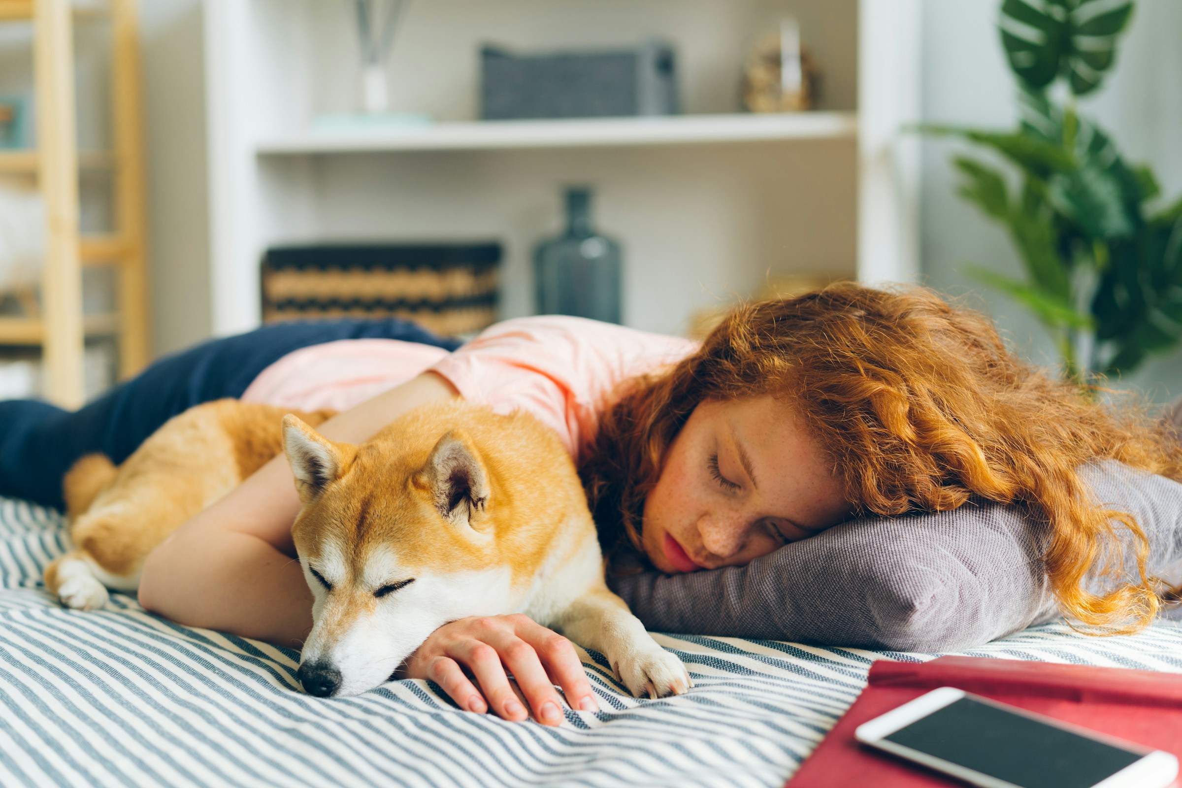 11 Things a Dog Does When They Have Fully Accepted You as Their Safe Person