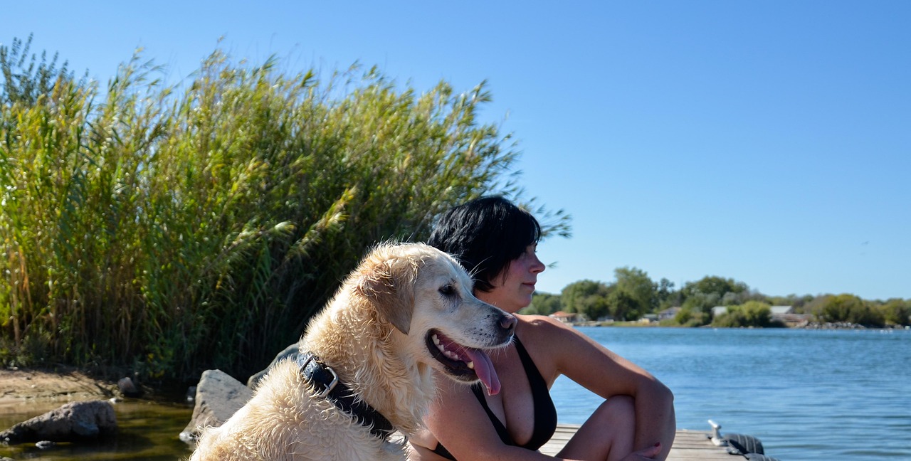 7 Moments That Reveal Exactly How Much Your Dog Loves You - Even If They Never Show It Any Other Way