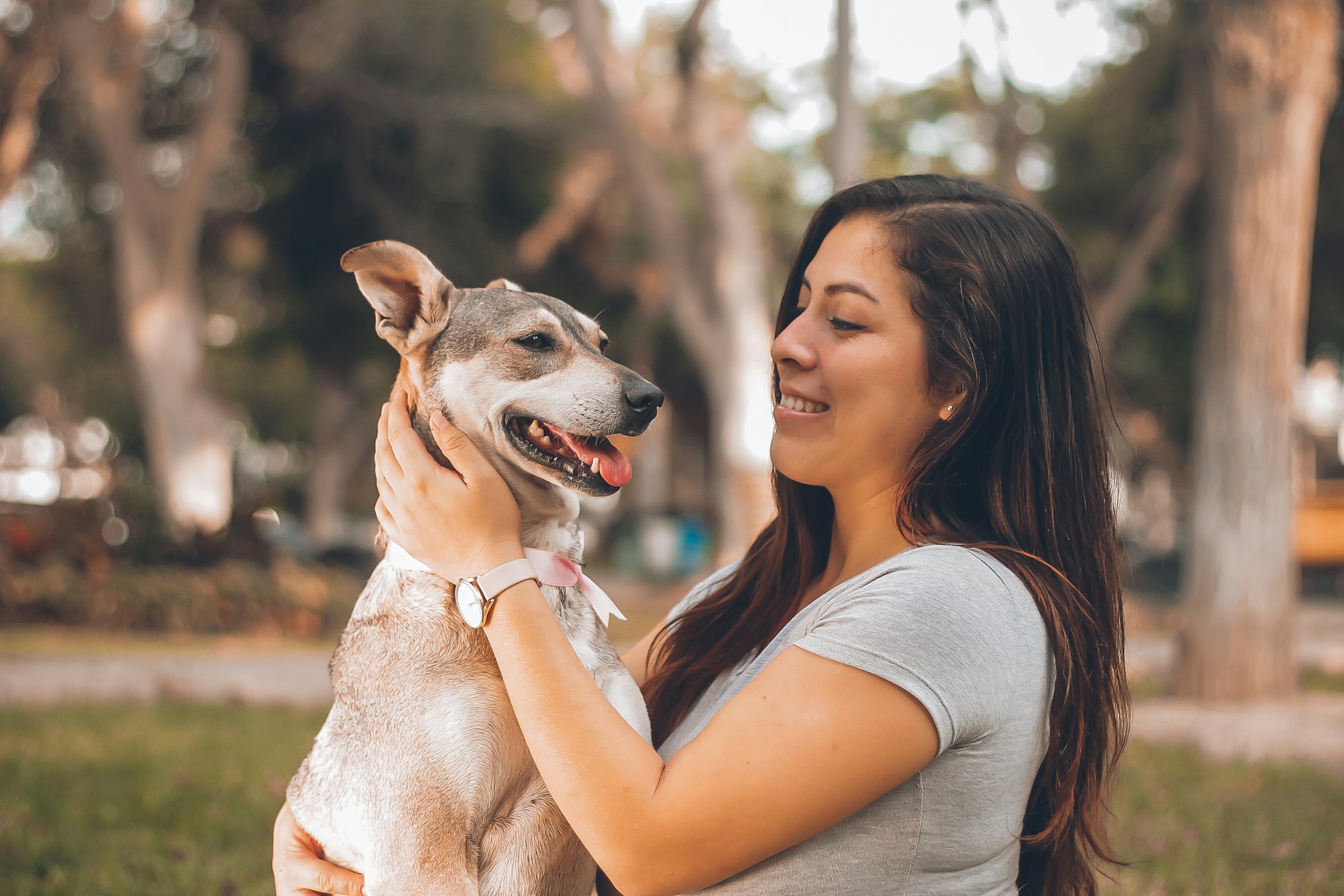 Dog Psychology Says Dogs Who Seek You Out After Something Frightens Them May Be Using Their Human as a Source of Safety and Reassurance