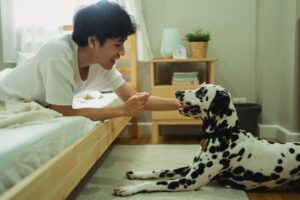What Your Dog Is Actually Doing When They Sit and Watch You Sleep - The Answer Is Simpler and More Touching Than You Think